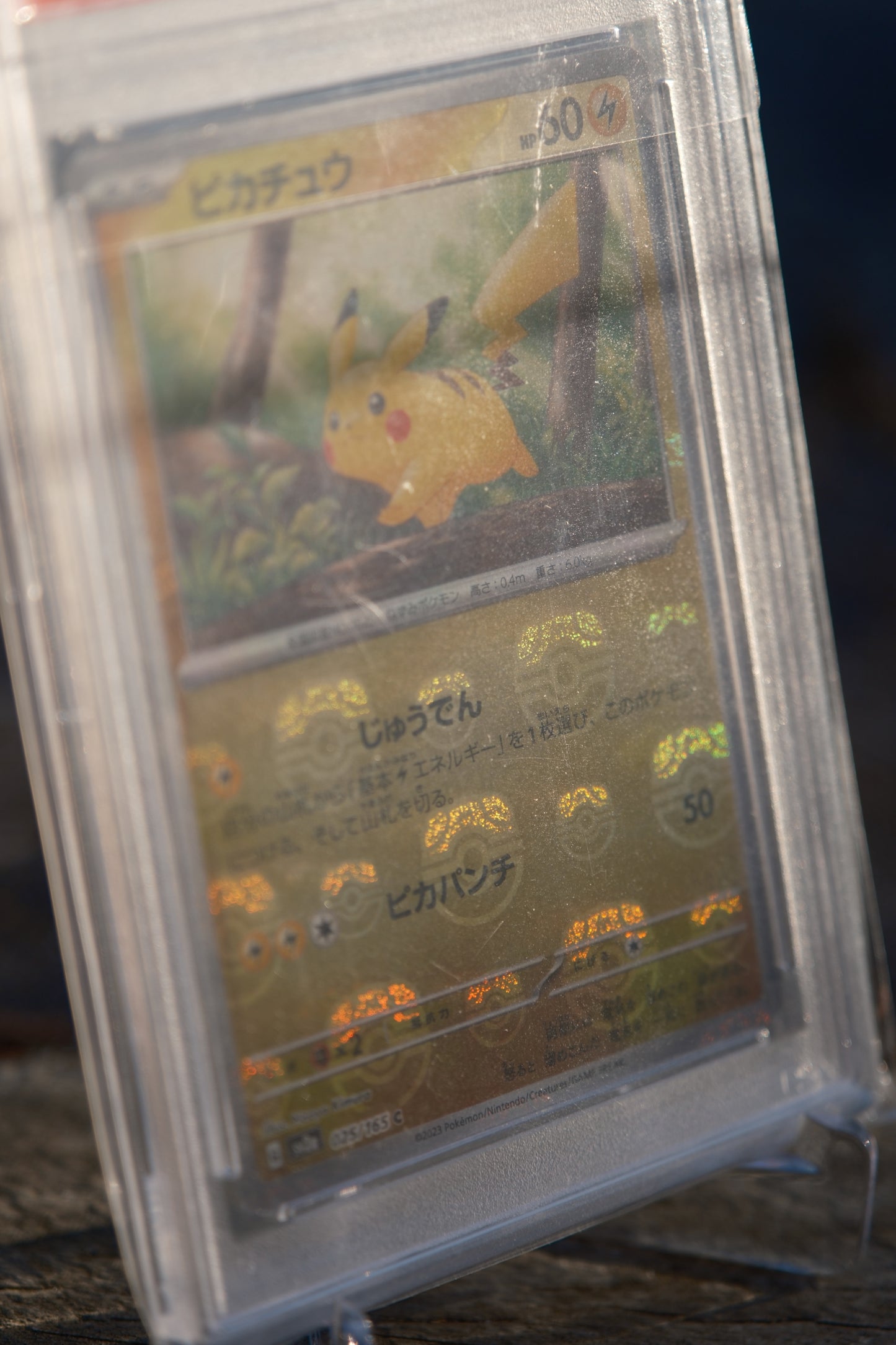 2023 SV2a JP Pikachu Master Ball Reverse Holo #25